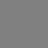 NO COLOR