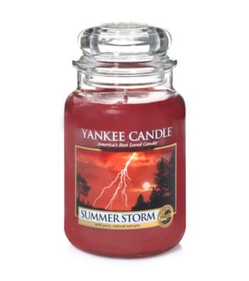 UPC 886860259938 product image for Yankee Candle® Summer Storm Candle | upcitemdb.com