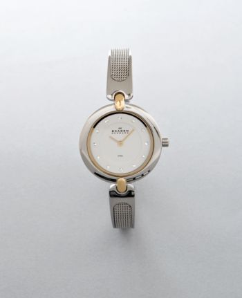 Skagen® Women's Mesh Bangle Two-Tone Watch