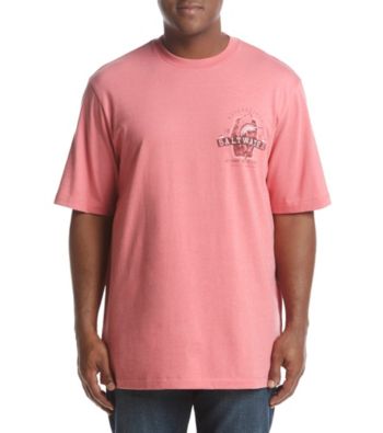 UPC 676108576473 product image for IZOD Men's Big & Tall Saltwater Marlin Graphic Tee | upcitemdb.com