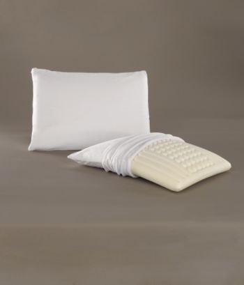 Perfect Zoned Pillow