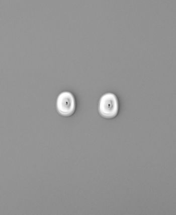 Lauren Ralph Lauren Sterling Silver Pillow Stud Earrings