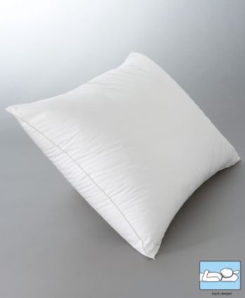 LivingQuarters Aller-Ease Pillow