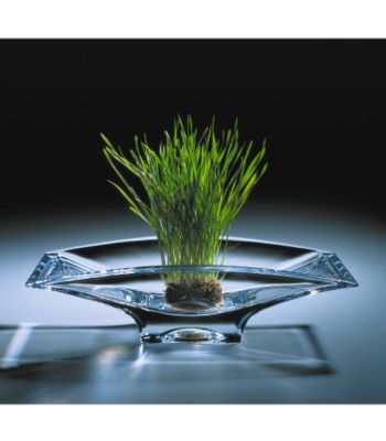Namb&eacute; Planar Crystal Bowls