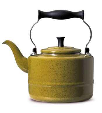 Paula Deen Porcelain Enamel 2-Quart Teakettle - Green