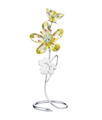 Swarovski® Deoria