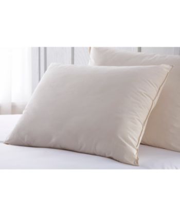 Perfect Fit Crypton® Pillow