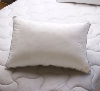 Royal Velvet™ Legacy 3-Pack Pillows