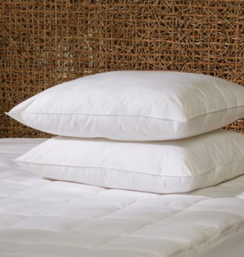Comfort Touch™ 2-Pack Feather Pillows