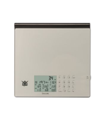 Taylor® Silver Nutritional Scale