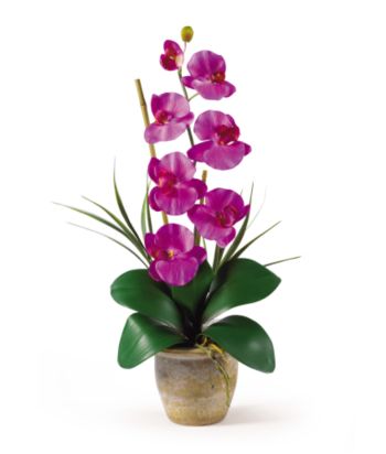 Nearly Natural® Phalaenopsis Silk Flower Arrangement