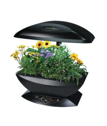 AeroGrow AeroGarden 6 Black - 6 pods