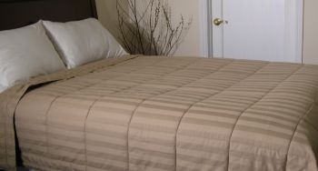 Cotton Loft 240-Thread Count 100% Cotton Blanket