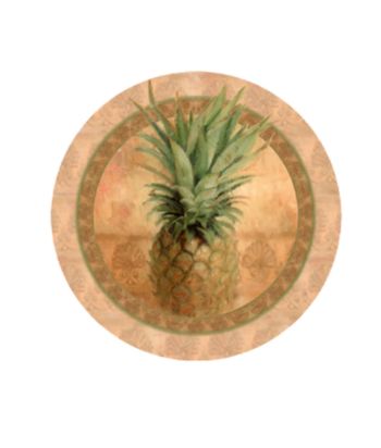 Thirstystone® Pineapple 4-Pack Coasters