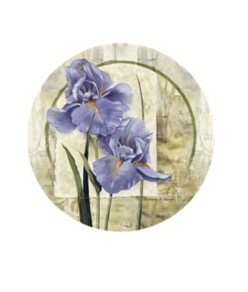 Thirstystone® Iris in Bloom 4-Pack Coasters