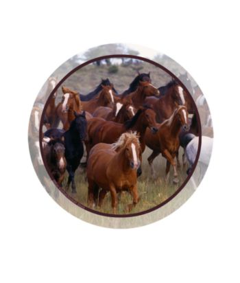 Thirstystone® Horse Collage 4-Pack Coasters