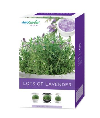 AeroGrow Lots of Lavender 6-pod Seed Kit