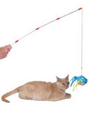 ABC Pet® Fishing Pole Cat Toy