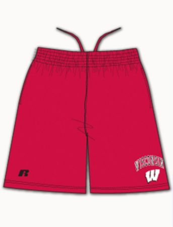 Men's Big & Tall Collegiate Mesh Shorts
