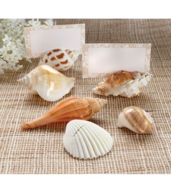 Kate Aspen 6-pc. Shells By The Sea Place Card Holder - Set of 2