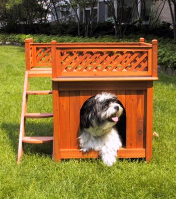 Merry Pet House Room with a View Dog House