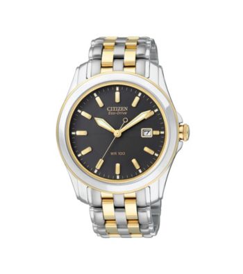 Citizen® Men's Eco-Drive Stainless Steel Two-Tone Watch with Black Dial