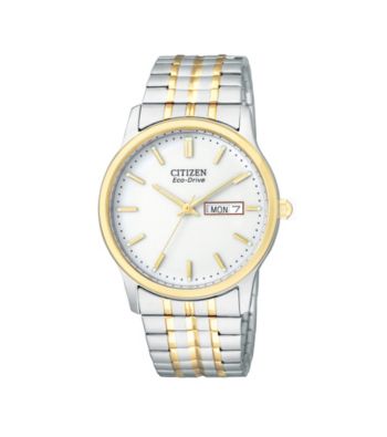 Citizen® Men's Eco-Drive Two-Tone Expansion Watch