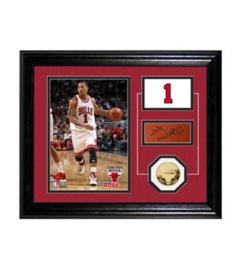 Derrick Rose Player Pride Desktop Photo Mint by Highland Mint