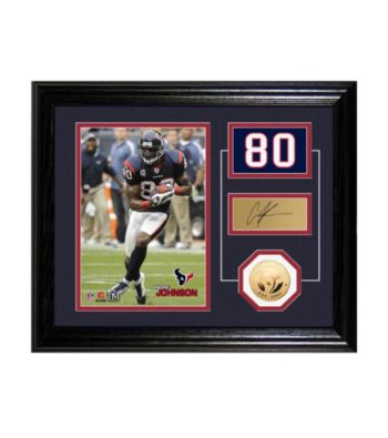 Andre Johnson Player Pride Desktop Photo Mint by Highland Mint