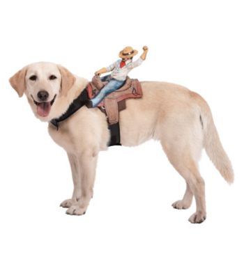 Dog Riders Cowboy Costume