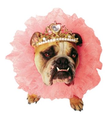 Zelda Wisdom - Queen Dog Costume