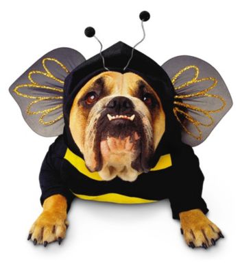 Zelda Wisdom - Bumblebee Dog Costume
