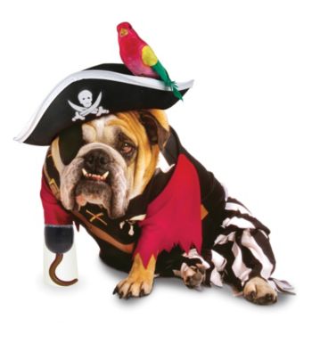 Zelda Wisdom - Pirate Dog Costume