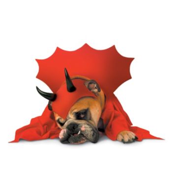 Zelda Devil Dog Costume