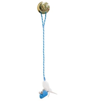 Play-N-Squeak Twinkle Whack and Forth Cat Toy