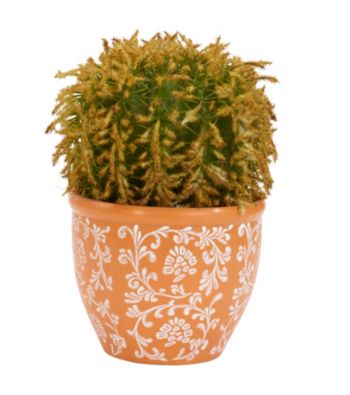 Nearly Natural® Barrel Cactus Silk Plant