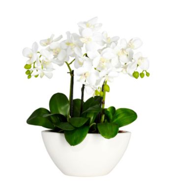 Nearly Natural® Phalaenopsis Silk Flower Arrangement