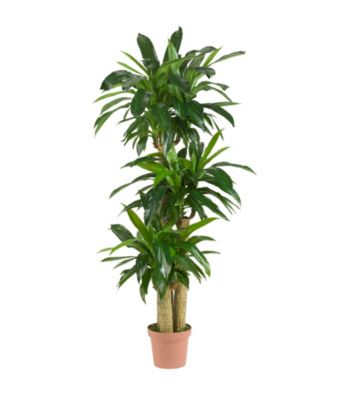 Nearly Natural® Corn Stalk Dranaena Silk Plant (Real Touch)