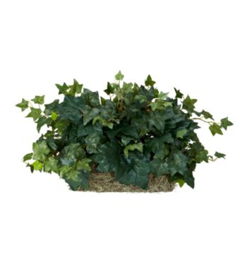 Nearly Natural® Ivy Ledge Plant (Set on Foam) Silk Plant