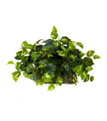 Nearly Natural® Pothos Ledge Plant (Set on Foam) Silk Plant