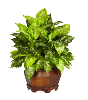 Nearly Natural® Variegated Dieffenbachia with Large Hexagon Silk Plant