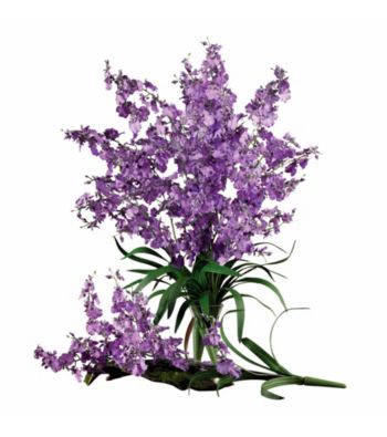 Nearly Natural® Dancing Lady (Set of 12)