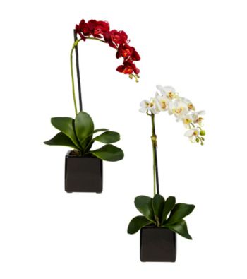 Nearly Natural® Phaleanopsis Orchid with Black Vase Silk Arrangement (Set of 2)
