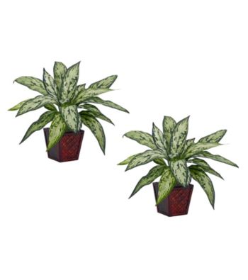 Nearly Natural® Silver Queen Silk Plant (Set of 2)