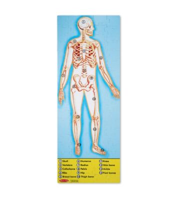 Melissa & Doug® Human Body Floor Puzzle