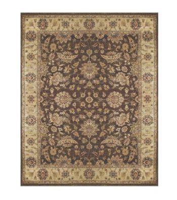 Dover Collection Brown/Beige Rug