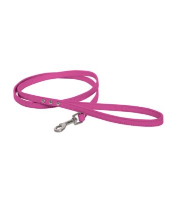 FouFou Dog™ Yummy Lead
