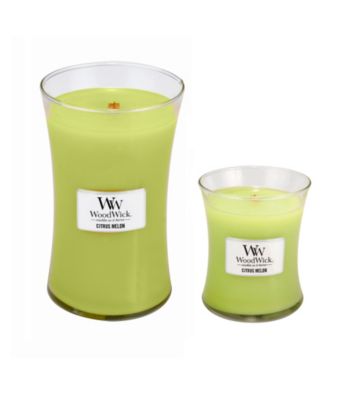WoodWick® Citrus Melon Jar Candles by Virginia Candle Company™