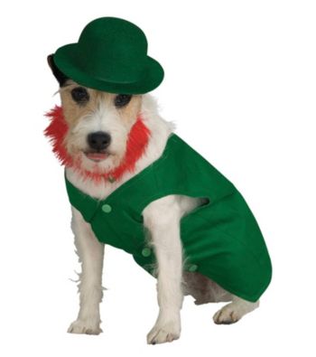 Leprechaun Dog Costume