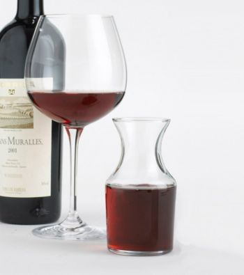 Wine Enthusiast Individual Decanters 4-pc.